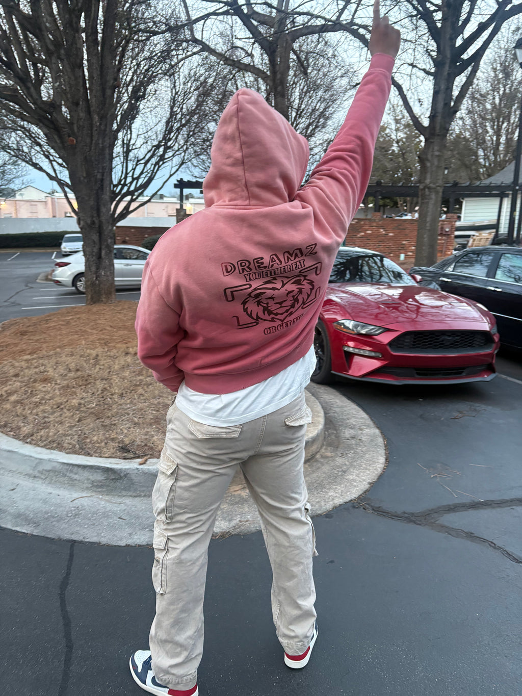 Dreamz Premium Zip Hoodie - Limited Drop