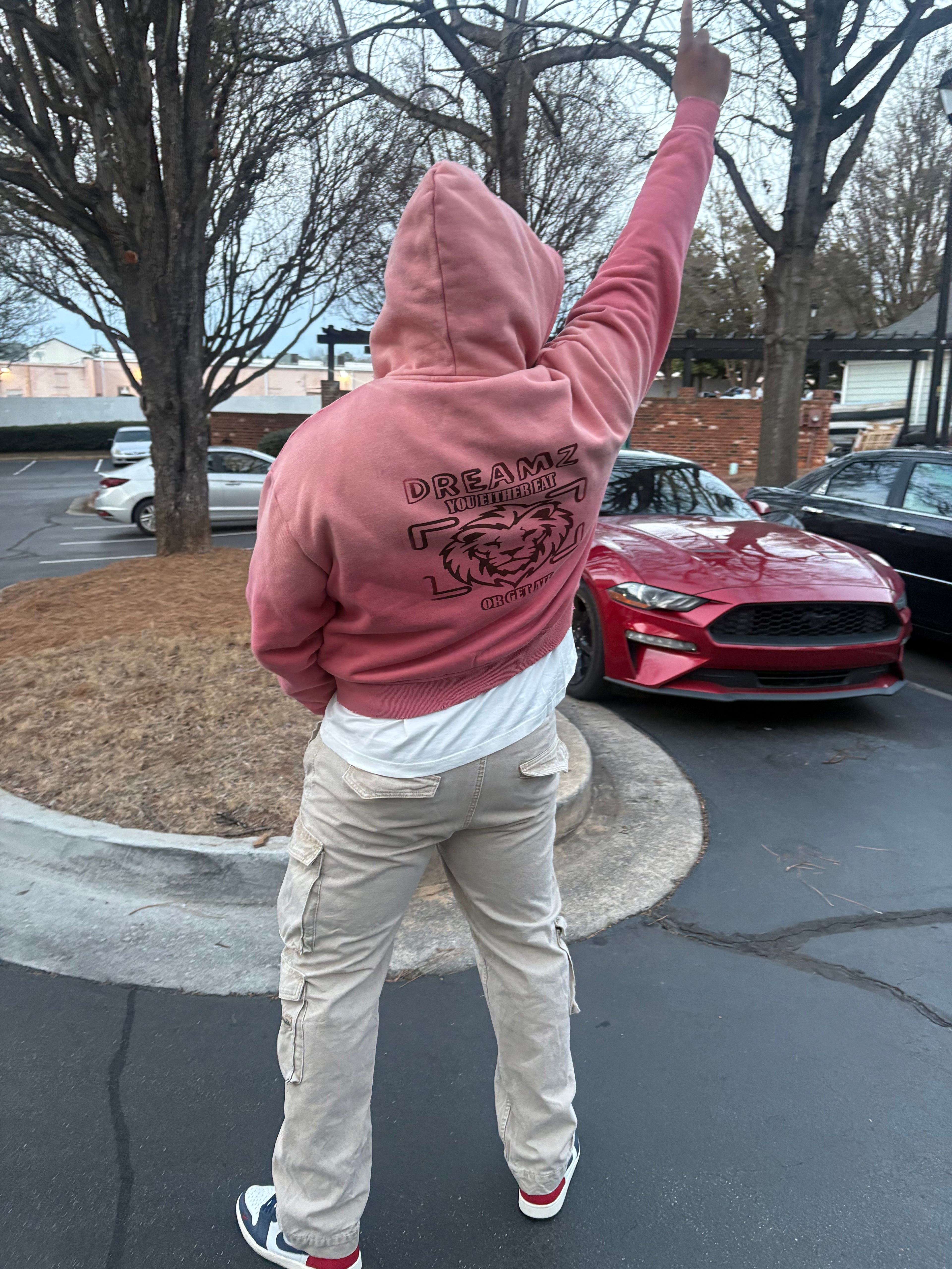 Dreamz Premium Zip Hoodie - Limited Drop