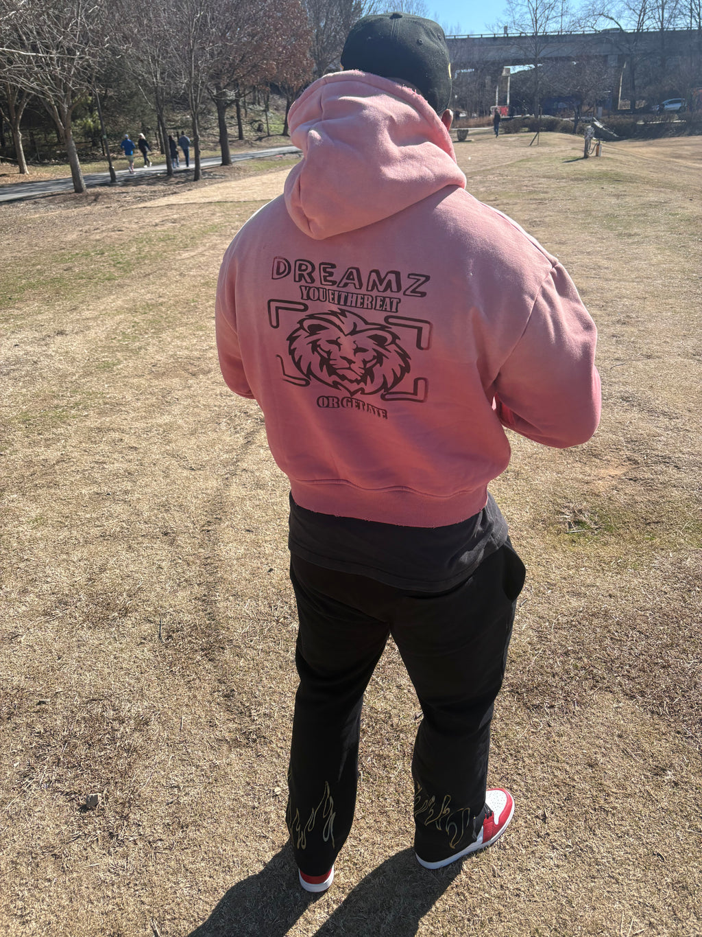 Dreamz Premium Zip Hoodie - Limited Drop