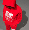 Dreamz 2 Reality Hoodie