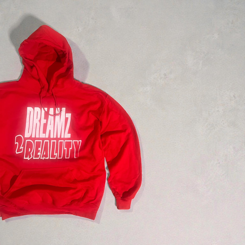 Dreamz 2 Reality Hoodie