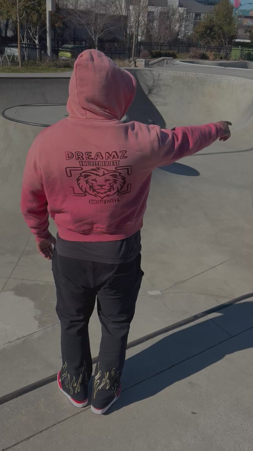 Dreamz Premium Zip Hoodie - Limited Drop